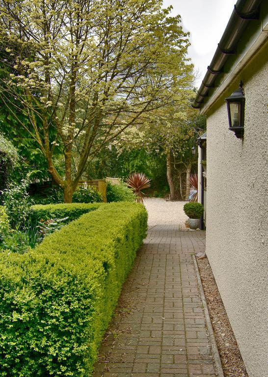 Ottery St Mary Tumbling Weir Hotel מראה חיצוני תמונה