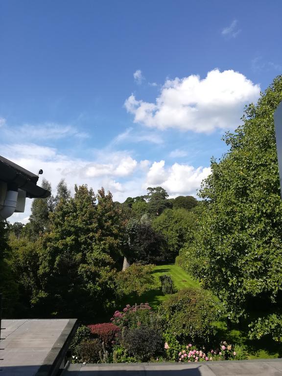 Ottery St Mary Tumbling Weir Hotel מראה חיצוני תמונה