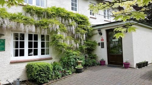 Ottery St Mary Tumbling Weir Hotel מראה חיצוני תמונה